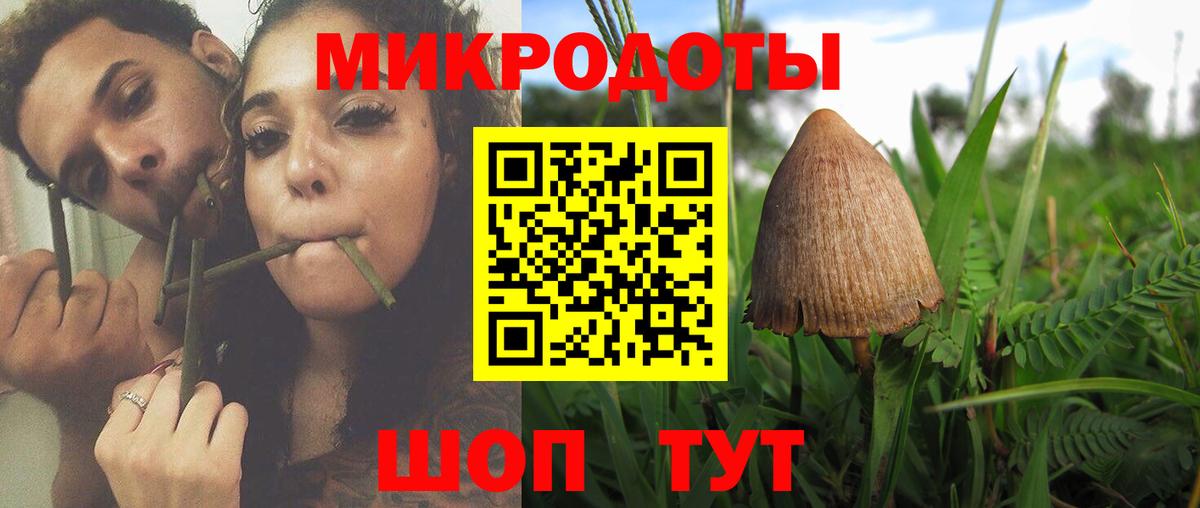 наркота  Псилоцибиновые грибы MAGIC MUSHROOMS  Вход с VPN  Таганрог 